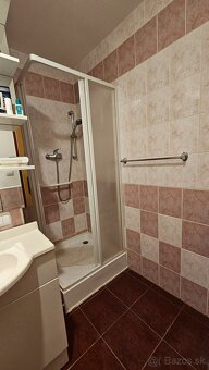 TOP PONUKA 1 izbovy Rub II - 8