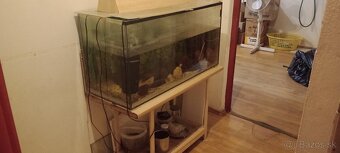 Akvárium +prislusenstvo - 8