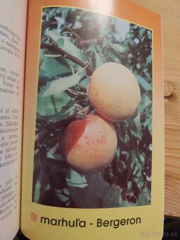 Poradca záhradkára 25 - 8