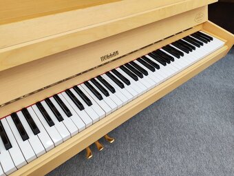 Moderné Piano dovoz celá SR - 8