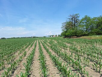 3460m2 pozemok Veľká Paka - 8