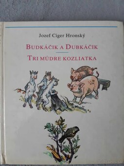 Pupavienka, Junacka pasovacka, Zlaty klucik Smely zajko, ine - 8