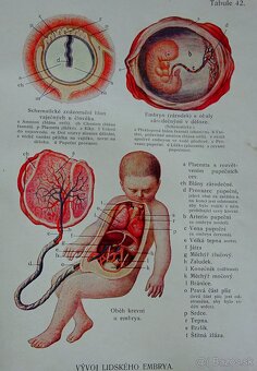 Domáca lekárka I.-II., vydaná v roku 1923 - 8