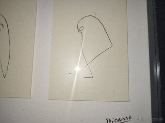 Picasso - Tlač - 8