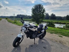 Ducati Monster 696 - 8