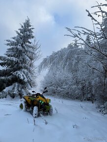 Can am renegade 800 - 8