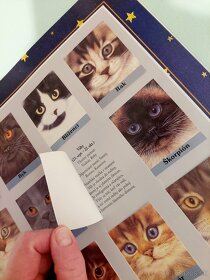 Kniha mačky - 8