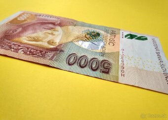 ✅️SLOVENSKÁ KORUNA 5000 SKK VZÁCNA BANKOVKA - 8
