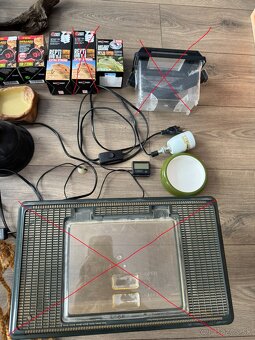 veci po chove agamy bradatej - 8