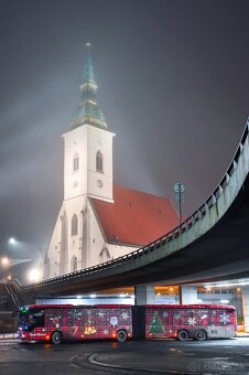 Nikon Z 24-70mm F/4 S - 8