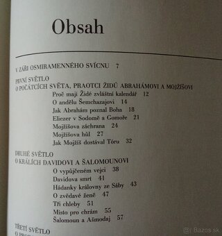 Osm světel, Leo Pavlát - 8