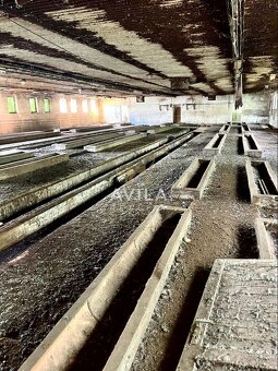 Predaj | Hospodárske budovy v areáli družstva | Hrádok - 8