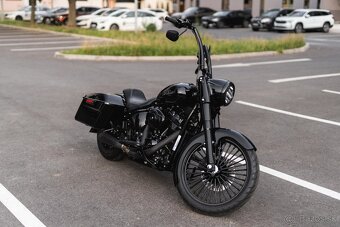 Harley davidson - 8