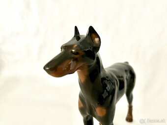 Porcelanovy pes - doberman Rosenthal - 8