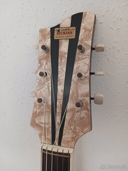 Akusticka gitara Isana - 8