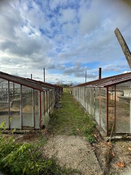 Na predaj RD v Sikeničke - 8