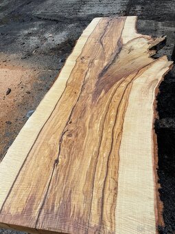 JASEŇOVÉ REZIVO OLIVE ASH / Očkové drevo / Live edge - 8