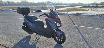 Sym Joymax Z+ 125 - 8