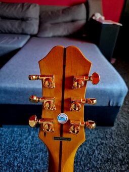Epiphone - 8