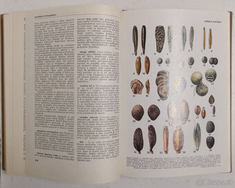 Naučný slovník zemědělský 9 - 8