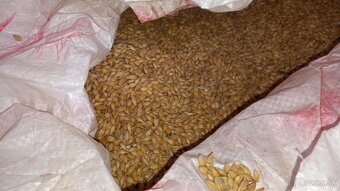 Pšenica, kukurica, jačmeň, 26€ slnečnica 45€ - 8