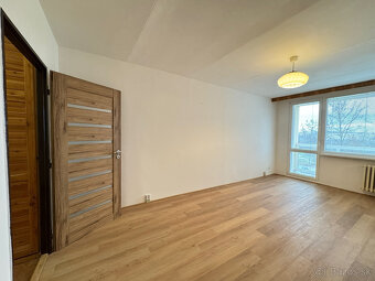 Predaj 1 izbového bytu pražský typ, 42 m2, loggia - Furča - 8