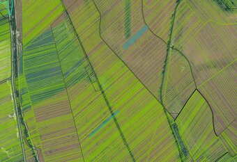 Veľký Blh - 503 m2 PÔDA a LESY – PREDAJ - 8