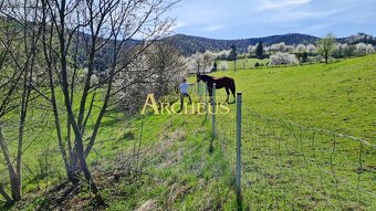 STAVEBNÝ POZEMOK 12 032 M2, SLATINSKÉ LAZY - 8