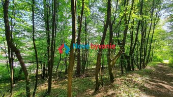 EXKLUZÍVNE. Na predaj pozemok v obci Kochanovce (N027-14-ZD - 8