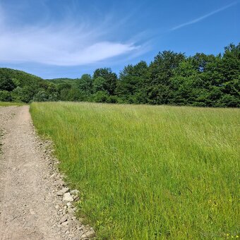 POZEMOK NA VÝSTAVBU REKREAČNEJ CHATY-REGETOVKA - 8