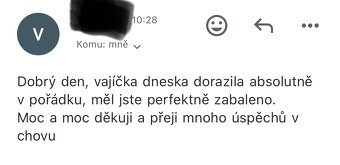 NV zdrobnělá vlaška zlatě zbarvená - 8
