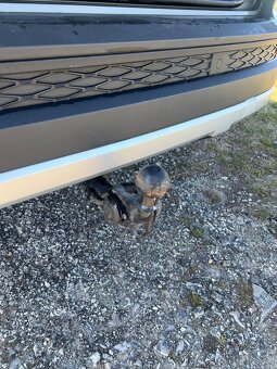 Seat Seat Ateca 2.0 TDI CR Xcellence 4Drive DSG - 8