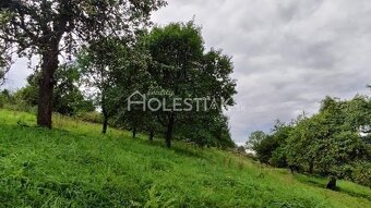 Zvýhodnená cena - Predám pozemky a dom s veľkou záhradou Ska - 8