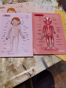 Predám ľudské telo magnety - 8