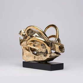 Bronzová lebka Babirusa na stojane Bronz - 8