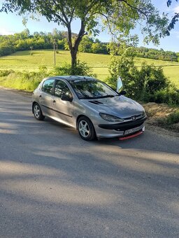 Peugeot 206 - 8