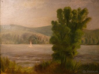 Starožitne obrazy a iné - 8