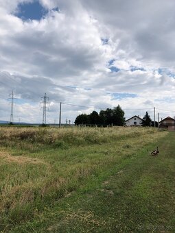 Kosenie , zahradne prace - 8
