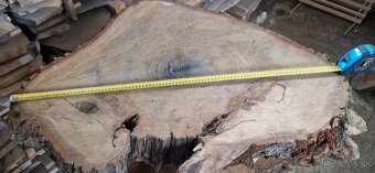 Dubové priečne rezy na stoly - 8