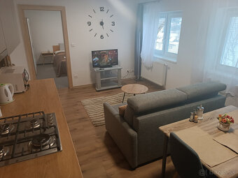 Trenčianske Teplice apartmány ubytovanie aj pre samoplatcov - 8