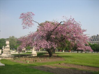 Nikon Coolpix L23 - Blue - 8