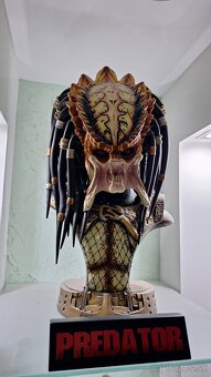Predator sideshow - 8