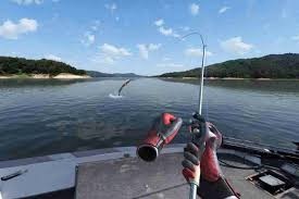 Predam PICO 4 3D VR - 8