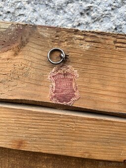 Starožitný obraz Klammer Mariska - 8