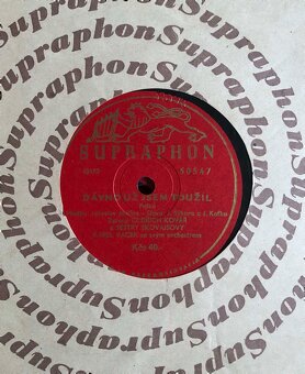 STAROŽITNÉ ORIGINÁLNE GRAMOFÓNOVÉ DOSKY - 8