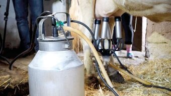 Dojacie zariadenie - Dojička pre Kravu / Kozu / Ovce - 8