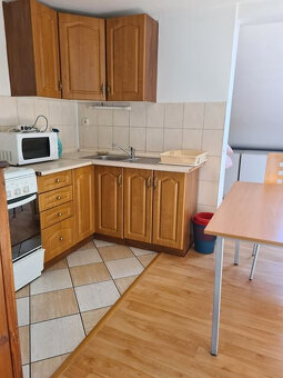 Zaujímavá väčšia nehnuteľnosť na bývanie, podnikanie, prípad - 8