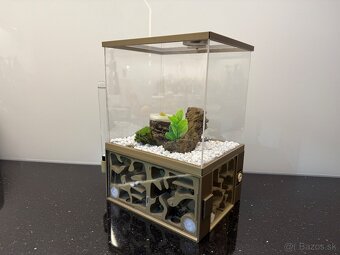 🐜 Predám formikárium + kolóniu Camponotus nicobarensis (krá - 8