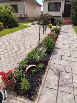 Realizácie záhrad,rez ovocných stromov a drevín - 8