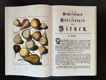 Knihy o histórii - 8